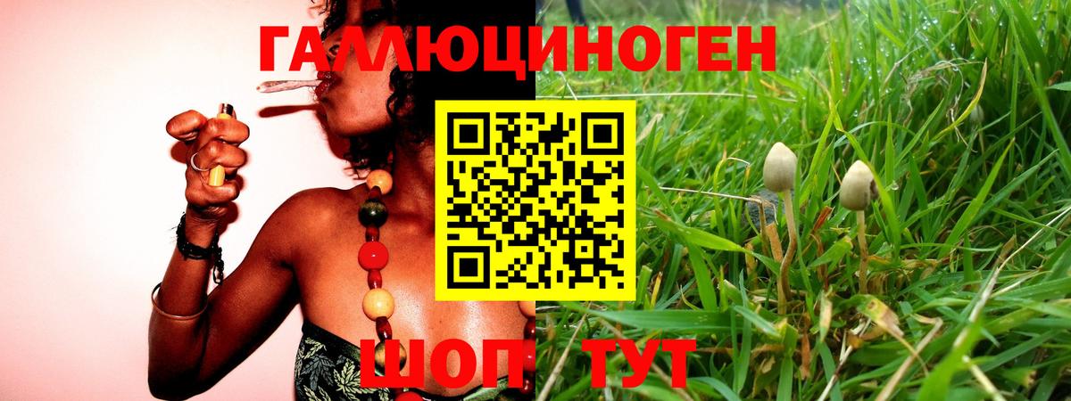 Галлюциногенные грибы ЛСД  Вход с VPN  где купить наркотик  Чехов 
